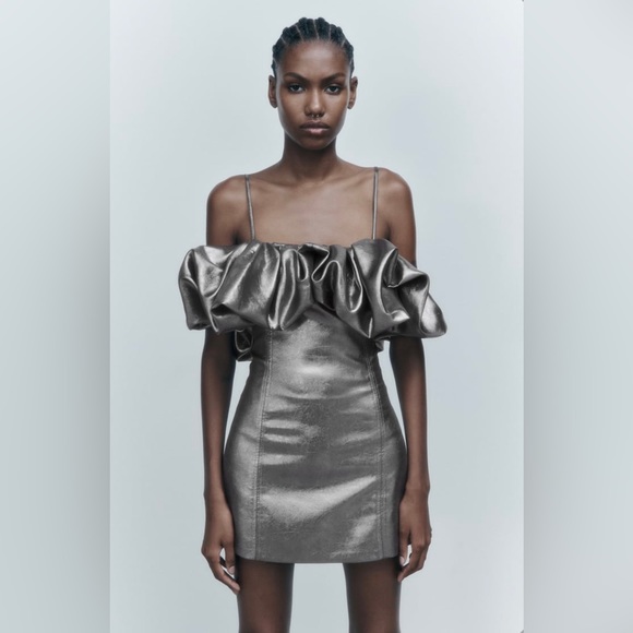 NWT Zara Voluminous Short Full Dress in Silver - Picture 1 of 10